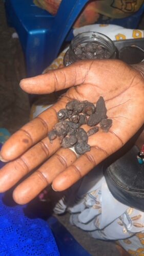 Traditional seeds to make Senegalese incense